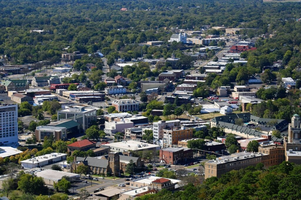 an aerial view of a city with lots of trees